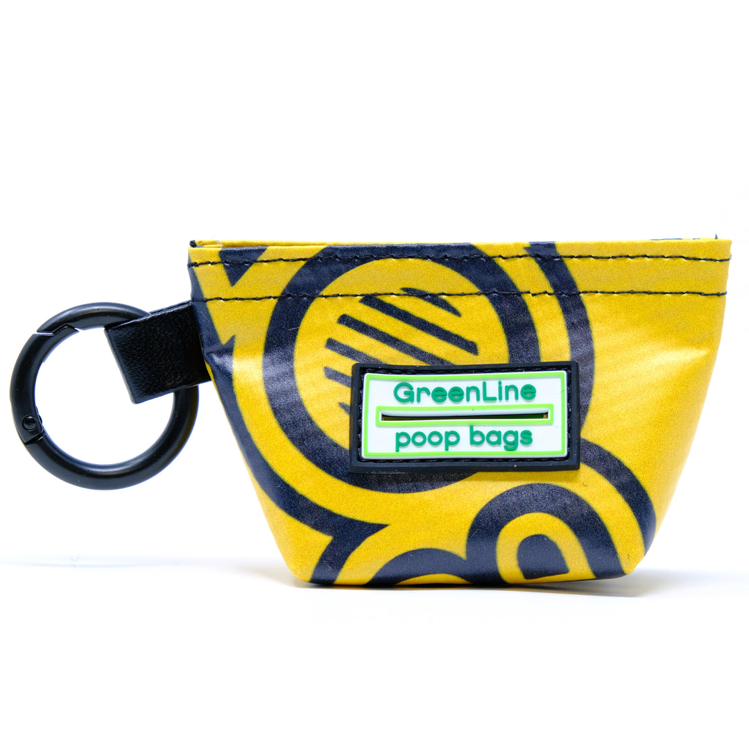 Andersonville Banner Bag