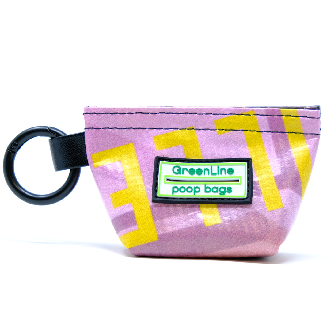 Andersonville Banner Bag