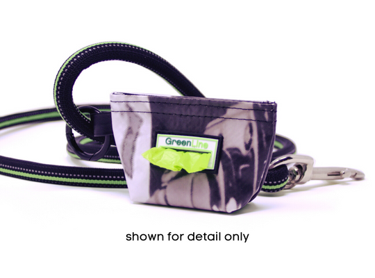 Naperville Banner Bag