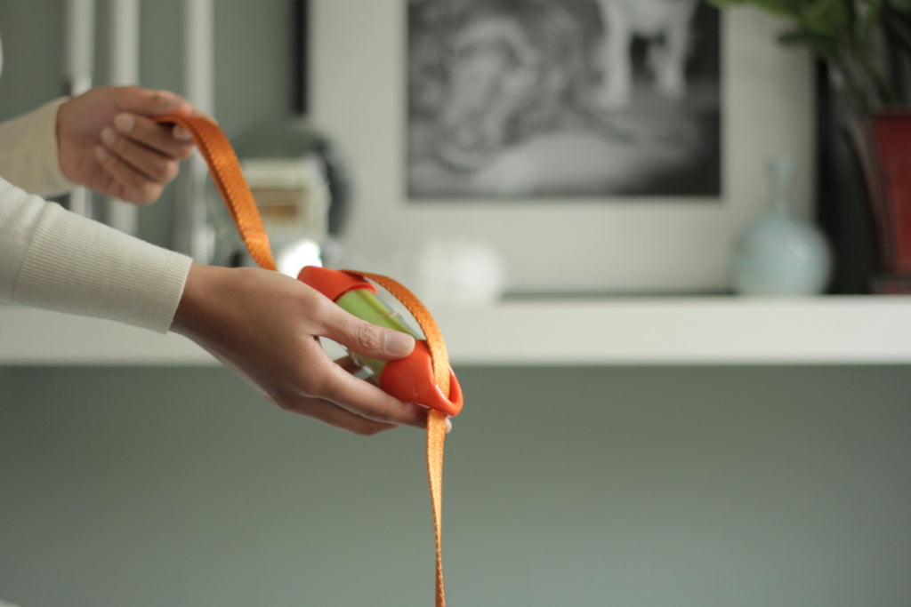 Orange LOOP poop bag holder on an orange leash#color_orange