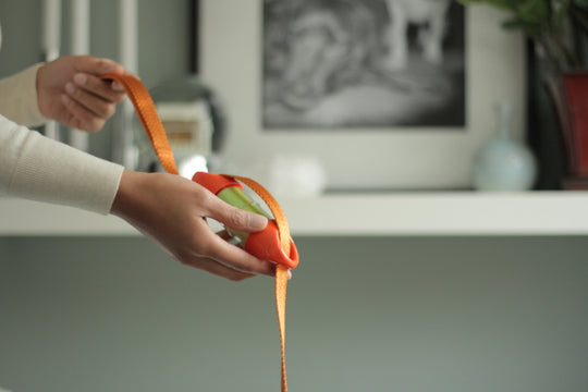 Orange LOOP poop bag holder on an orange leash#color_orange