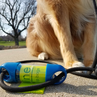 Blue LOOP poop bag holder on leash with dog's feet in background#color_blue