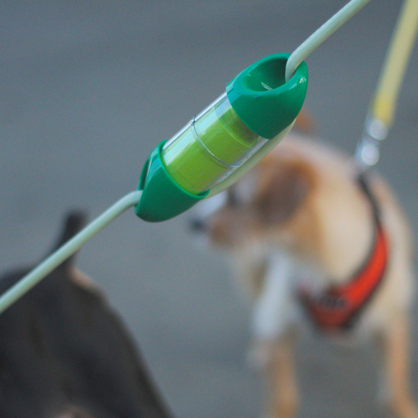 Green LOOP poop bag holder on leash with dogs in background.#color_green